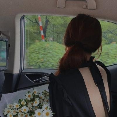天网狼蛛